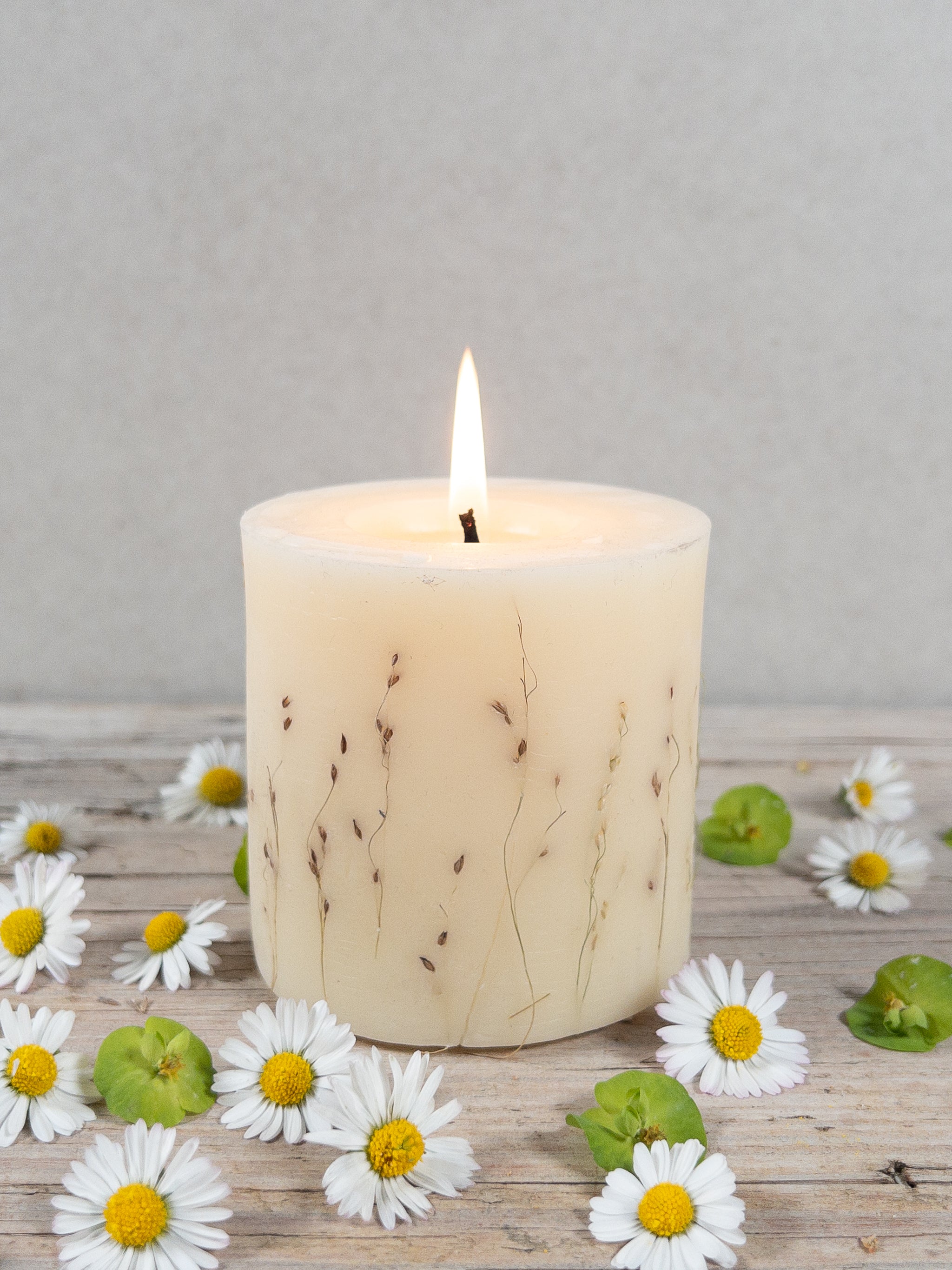 Brennende filigrane Gräserkerze mit illumierten Rispen auf Holzplatte mit frischen Blüten.