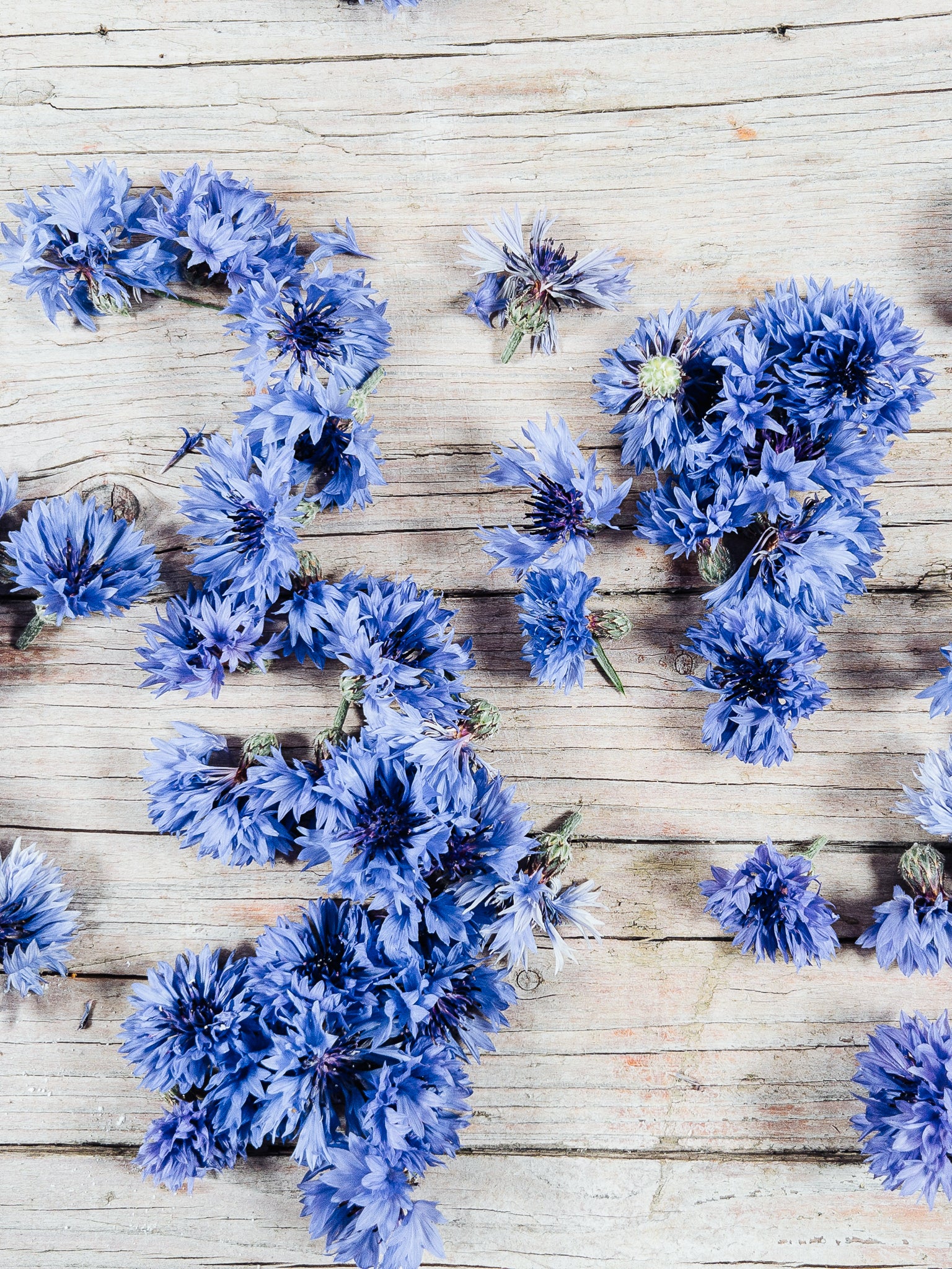 Frische Kornblumenblüten auf Holzbrett